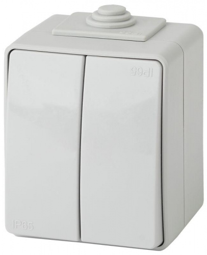 Выключатель 2-кл. ОП Эра Эксперт 10А IP65 11-1604-03 250В 10AX (10/100/1600) сер. Эра Б0035976 Выключатель 2-кл. ОП Эра Эксперт 10А IP65 11-1604-03 250В 10AX (10/100/1600) сер. Эра Б0035976